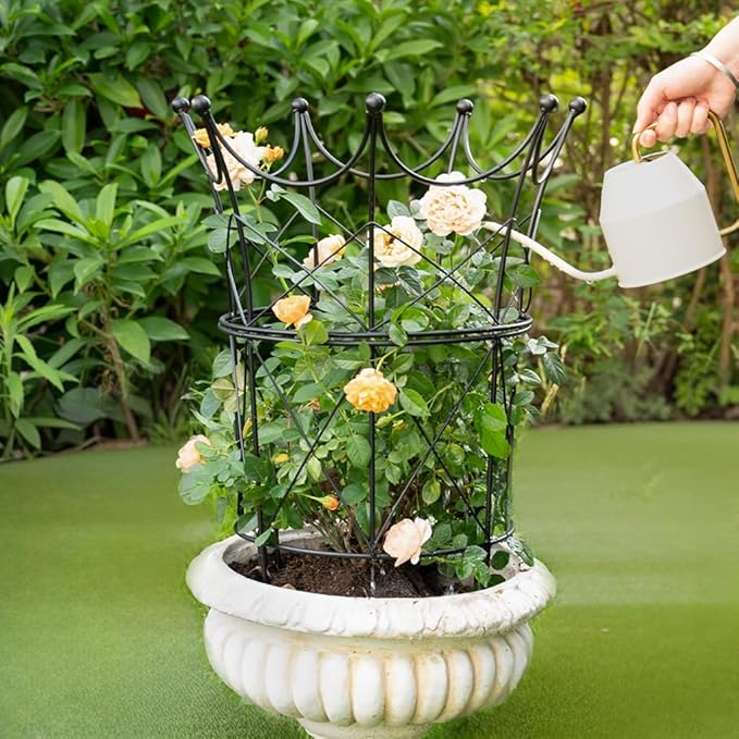 Trellis Obelisk Plant Support, Black Iron, 18.5 x 22.9 Inch