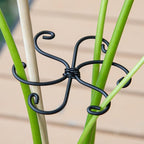 Monstera Plant Stem Support Set - 2.75x2.75 inches 5 Durable Fishbone Design Stabilizers for Indoor Climbing Plants - Perfect Leaf Holders & Gifts for Plant Lovers