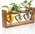 Heart Shaped Glass Terrarium Set with Wood Stand, 3 Vases