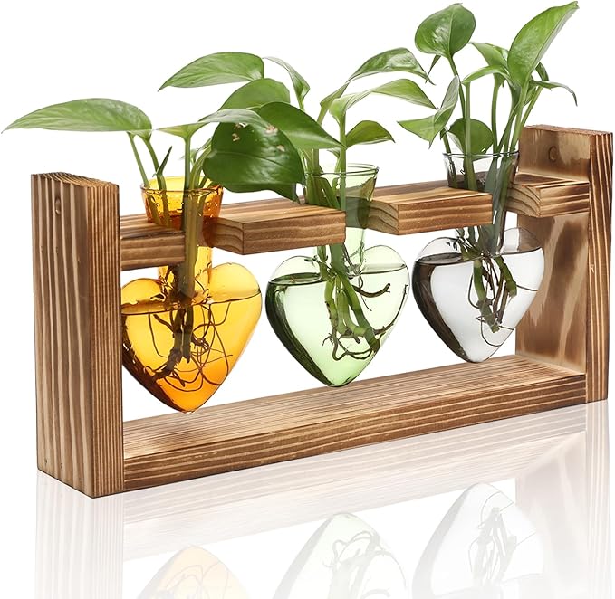 Heart Shaped Glass Terrarium Set with Wood Stand, 3 Vases