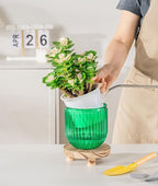 Melphoe Self Watering Pots for Indoor Plants Planter, 5.3 Inch 2 Pack Planters Self Watering Plant Pots for Flower, Houseplants, Succulent, African Violets and Cactus with Drainage