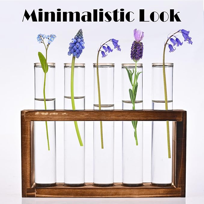 Terrarium Propagation Station, 5 Clear Glass Tubes with Pine Wood Stand