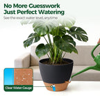 2 Pack 10 Inch Self Watering Pots - Water Level Indicator & Deep Reservoir, Mess-Free Planter for Busy People, Beginners & Gardeners, Fiddle Leaf Fig, Monstera, ZZ Plants, Indoor Outdoor Use (Black)