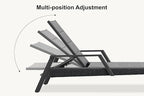 PURPLE LEAF Outdoor Chaise Lounge 2 Pieces Patio Recliner Sunbathing Tanning Chair for Poolside Balcony with Armrests Backyard Moon Basalt