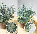 Lemonfilter Small Fake Plants, 3PCS Mini Potted Artificial Plastic Eucalyptus Plants Indoor Modern Farmhouse Decor, Fake Potted Plant for Home Bathroom Bedroom Office Shelves Decor
