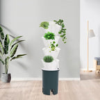 Hydroponic Growing System Indoor, 20-Hole Vertical Garden Planter Germination Kit, Smart Garden Vegetable Plant Kit with Pump and Movable Water Tank for Gardening Lover, IP68