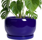 SQOWL Ceramic Plant Pot - 10 Inch Ceramic Planter for Indoor Outdoor, Round Flower Pot with Drainage Hole and Saucer, Modern Decorative Large Planter, Garden Decor, Plant Lover Gifts, Blue