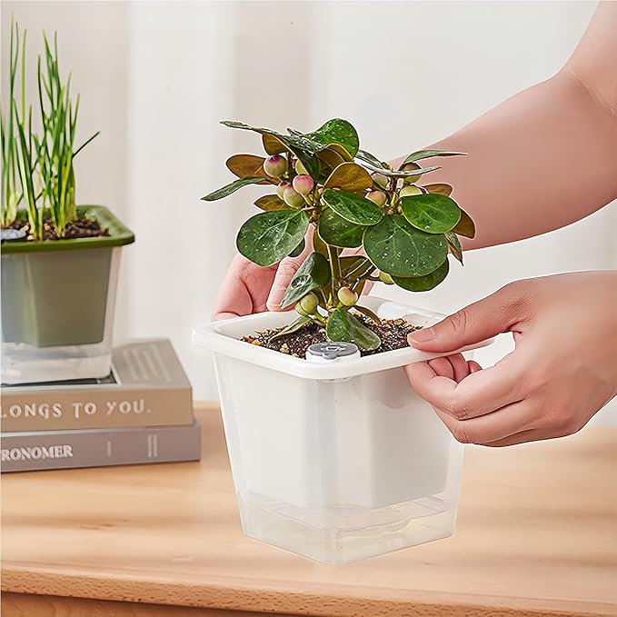 FAMZ Self Watering Pots for Indoor Plants 3 Pack，Clear Plant Pots with Drainage for African Violet、 Orchid、Succulent Plants Square Plant Pots（White 5.12"）