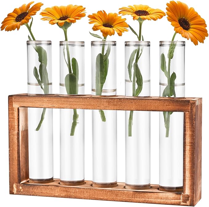 Terrarium Propagation Station, 5 Clear Glass Tubes with Pine Wood Stand