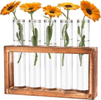 Terrarium Propagation Station, 5 Clear Glass Tubes with Pine Wood Stand