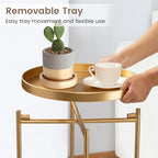 danpinera 2-Tier End Table, Outdoor Side Table, Metal Round Desk with Removable Tray, Small Folding Accent Desk, Anti-Rust Nightstand for Bedroom Balcony Patio Living Room, Set of 2 (Gold)