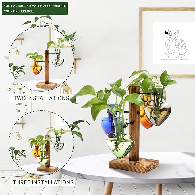 Terrarium Propagation Station, Heart Glass Vase with Wood Stand