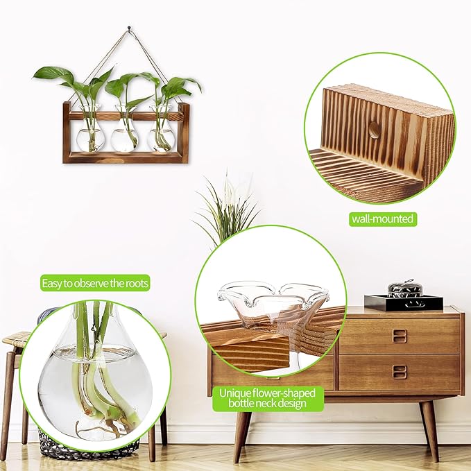 Terrarium Set of 3 Borosilicate Glass Bulbs with Wooden Stand