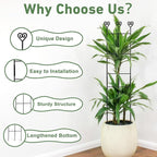 32in Large Indoor Plant Trellis for Climbing Plants, Expandable Metal Garden Trellis for potted plants, Tall Plant Supports for Ivy Pothos Hoya Monstera, 2p