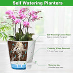 Orchid Pots with Holes, 6 Inch Self Watering Orchid Pot 2 Pack Plastic Plant Pots for Orchid, Flower (White)
