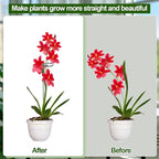 Mwellewm 3 Sets Plant Stakes 12/25/36 Inch Adjustable Plant Support Stakes Tall for Indoor Outdoor Plant Holder Stick Steel Garden Stem Pole Amaryllis Stakes with 15 Clip for Tomato Orchid Lily Flower