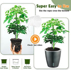 Self Watering Pots for Indoor Plants, 6-Pack 6.7'' Self Watering Planter with Drainage Holes, Small African Violet Pots with Water Indicator, Clear Wick Orchid Pot, Grey