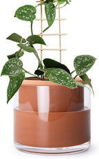 Phoenix Vine 6 Inch Self Watering Plants Pot, Design Terracotta Pot for Plants, Indoor Cylinder Terra Cotta Planter with Glass Vase, Set of 1, 51-A-F-1