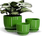 Ton Sin Ceramic Plant Pots,4"+5"+6" Inch,Green Flower Pots with Drainage Holes and Tray,Indoor Planters for Plants Pots,Home Office Decoration GIF for Plants,Succulent Pot Set of 3