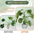 Telescoping Plant Stakes,7Pcs 14.3In to 25In Adjustable Monstera Plant Support Orchid Sticks with Clips, Plant Sticks Support Tall for Monstera,Orchids,Tomatoes,Vines & Indoor Outdoor Plants