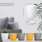5 Inch Planter Pots, 6 Pack Indoor Planters, Small Flower Pots with Drainage Holes and Tray for Succulents, Orchids, Herbs and Other Indoor Plants (Orange+Grey+White, 5inch)