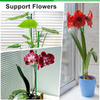 20Pcs Plant Support Stakes 17 inch SupKing Garden Orchid Sticks Extended to 3ft 4ft 5ft Plant Poles with Clips for Indoor Outdoor Potted Tomato Rose Amaryllis Vegetables Comes with 20 Ties