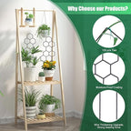 Small Trellis for Potted Plants, 15.94 inch Metal Plant Trellis for Climbing Plants Indoor Pot Honeycomb Shape Lattice for Ivy Vines Hoya Houseplants Flower 2 Pack