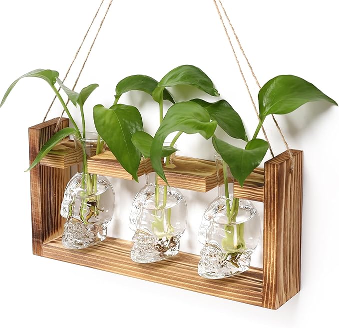 Terrarium Propagation Station, 3 Clear Skull Glass Vases with Wood Stand
