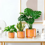 EFISPSS Ceramic Plant Pots,4+5+6 Inch Ceramic Indoor Pots for Plants with Drainage Hole,for Succulent Cactus,Pothos,Snake Plant Gift for Plant Lovers Set of 3 - Orange Pearl Glaze Plant Pots