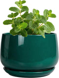 G EPGardening 4 inch Plant Pots - Small Ceramic Planter with Drainage Hole & Tray, Succulent Pots Indoor Outdoor, Round Modern Planter, Decorative Flower Pot, Desk Decor, Gifts for Plant Lover, Green