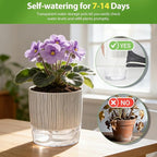 Self Watering Pots for Indoor Plants, 4 and 5.3 Inch, Plastic, Black Stripes, Round, Modern, Tabletop