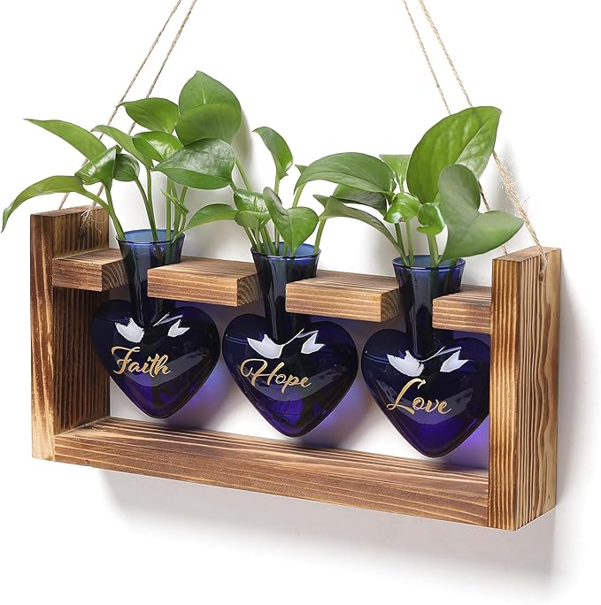Terrarium Set with Heart Shaped Glass Vases, Wood Stand, Blue