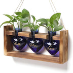 Terrarium Set with Heart Shaped Glass Vases, Wood Stand, Blue