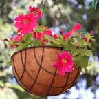 Y&M 4pcs 14“ Round Coconut Fiber Liner, 14'' Coco Liner Pre-Formed Replacement for Wall Hanging Planter Basket