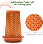 Plant Pots 5.7 Inch Self Watering Planters,Terracotta Pots with Drainage and Saucer,Hydroponic Clay Plant Pots Suitable for Indoor Plants,Orchid,African Violet,Flowers