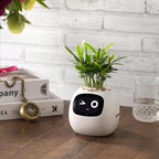 Smart Planter for Indoor Plants, White Plastic with Automated Watering