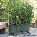 EarthBox 80151 Garden Kit, Organic, Green