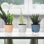 KIMCHOMERSE Self Watering Plant Pots, 6 Inch Plant Pots 6-Pack Indoor Planter Pots with Drainage Holes and Tray for Home Decor（2White, 2Pink, 2Blue）