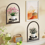 Wall Plant Holder, Wall Planter for Indoor Plants, Window Plant shelves for Multiple Plants Indoor Outdoor, Framed Plant Holder for Home Decor (2 Pack)