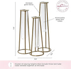 Planter Set of 3 Clear Glass Test Tube Vases with Antique Gold Metal Base