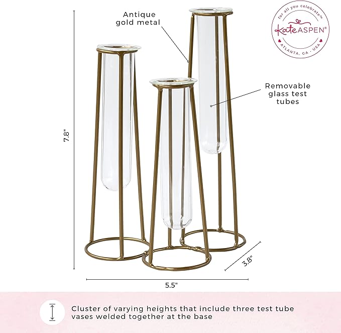 Planter Set of 3 Clear Glass Test Tube Vases with Antique Gold Metal Base