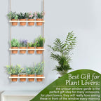 3 Tiered Hanging Herb Planters Hanging Herb Garden Wall with 12 Pcs Nursery Pot Wood Vertical Window Plant Shelf with Holes and Rope Plastic Flower Pots Spring Garden Indoor Kitchen