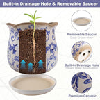 Ceramic-Planters-for-Indoor-Plants with Saucer, 6 inch Vintage Ice Crackle Glaze Plant Pots with Drainage Holes, Decorative Flower Pots for Outdoor Garden Home Decor, Tuscan Pot for Plant