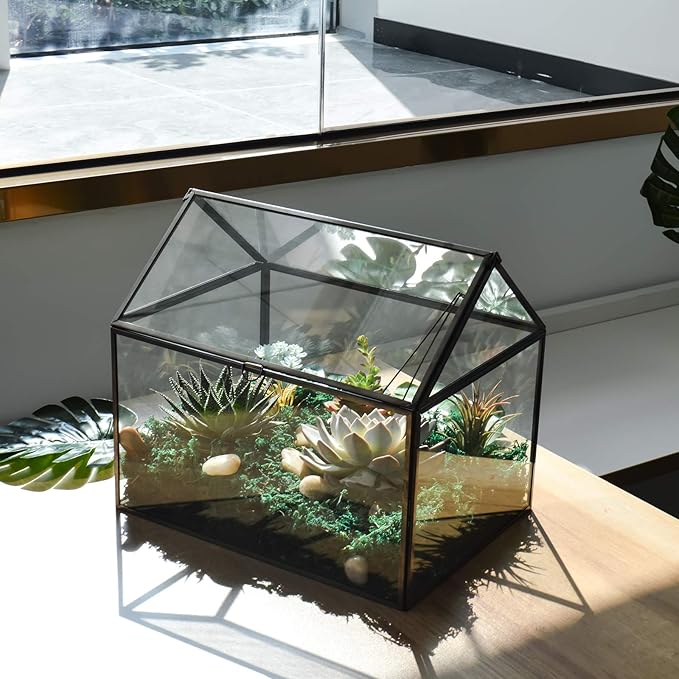Terrarium Black House-Shaped Glass Planter with Swing Lid, Large