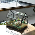 Terrarium Black House-Shaped Glass Planter with Swing Lid, Large