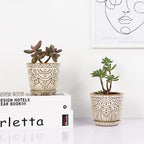 Gepege Succulent Pots, 4 Inch Small Indoor Ceramic Planter Pot with Drainage Holes and Saucers for Plants- Creamy White - Set of 4
