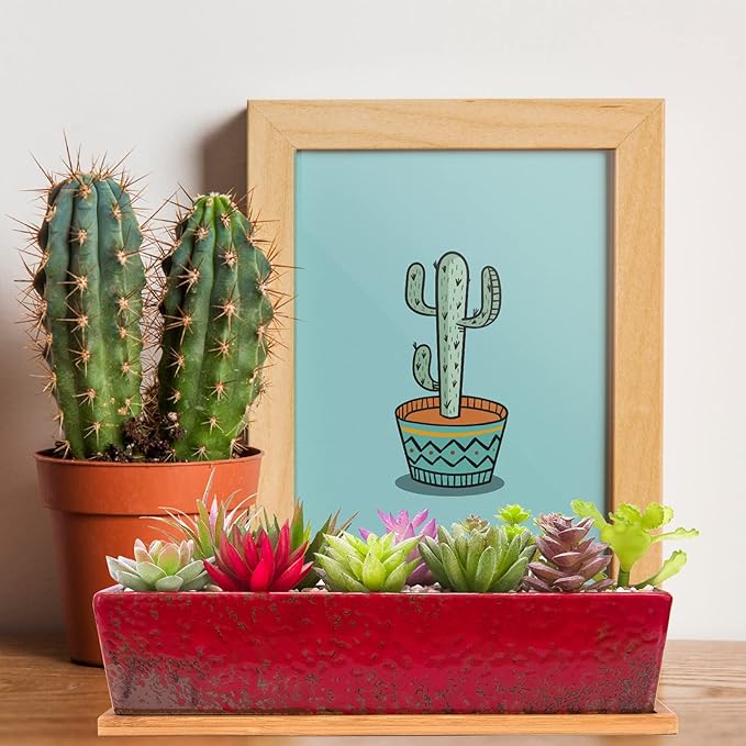 Succulent Pots - Large Succulent Planter Pots with Drainage, 12 Inch Long Rectangle Bonsai Pot with Bamboo Tray Shallow Ceramic Cactus Flower Planter Window Box for Home Garden Decor (Red)