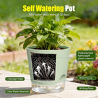 Plant Pots 6 Inch Self Watering Pots,6 Pack Plastic Planters with Drainage Holes and Clear Saucers,Plastic Flower Pots,Nursery Planting Pot for Indoor Out Door Plants (Green)