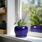 SQOWL Ceramic Planters for Indoor Plants - 6 Inch Plant Pot with Drainage Hole and Saucer, Round Small Planter, Modern Decorative Flower Pot Outdoor, Living Room Decor, Garden Gifts for Women, Blue