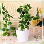 Nuenen 5 Pack Indoor Plant Trellis for Climbing Plants 11.8 Inches Small Garden Wooden Trellis for Potted Plants Honeycomb Shape Trellis Starter Holder for Outdoor Flower Plant Support Accessories